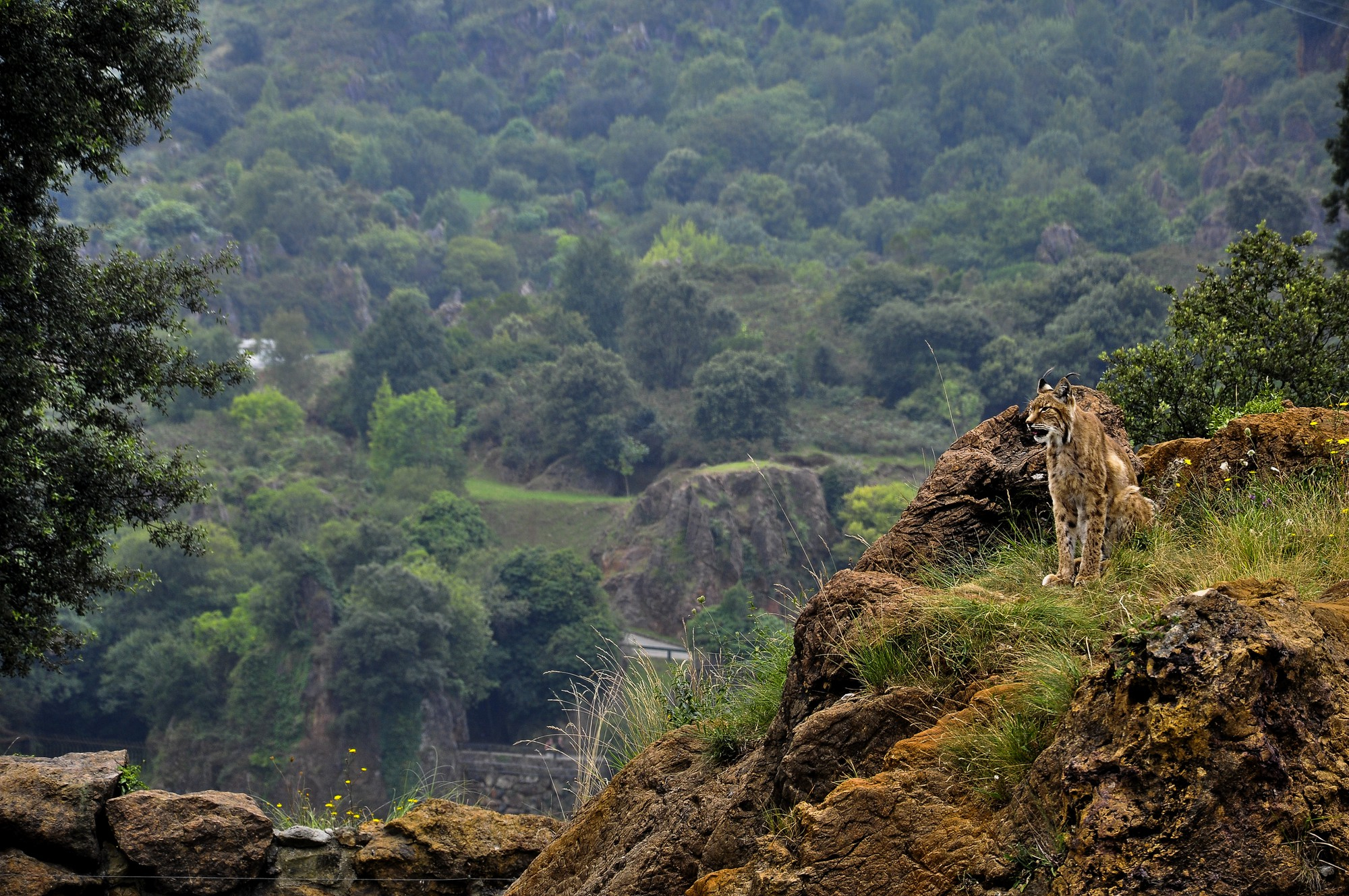 Why Choose Osotua Huts Lodge?