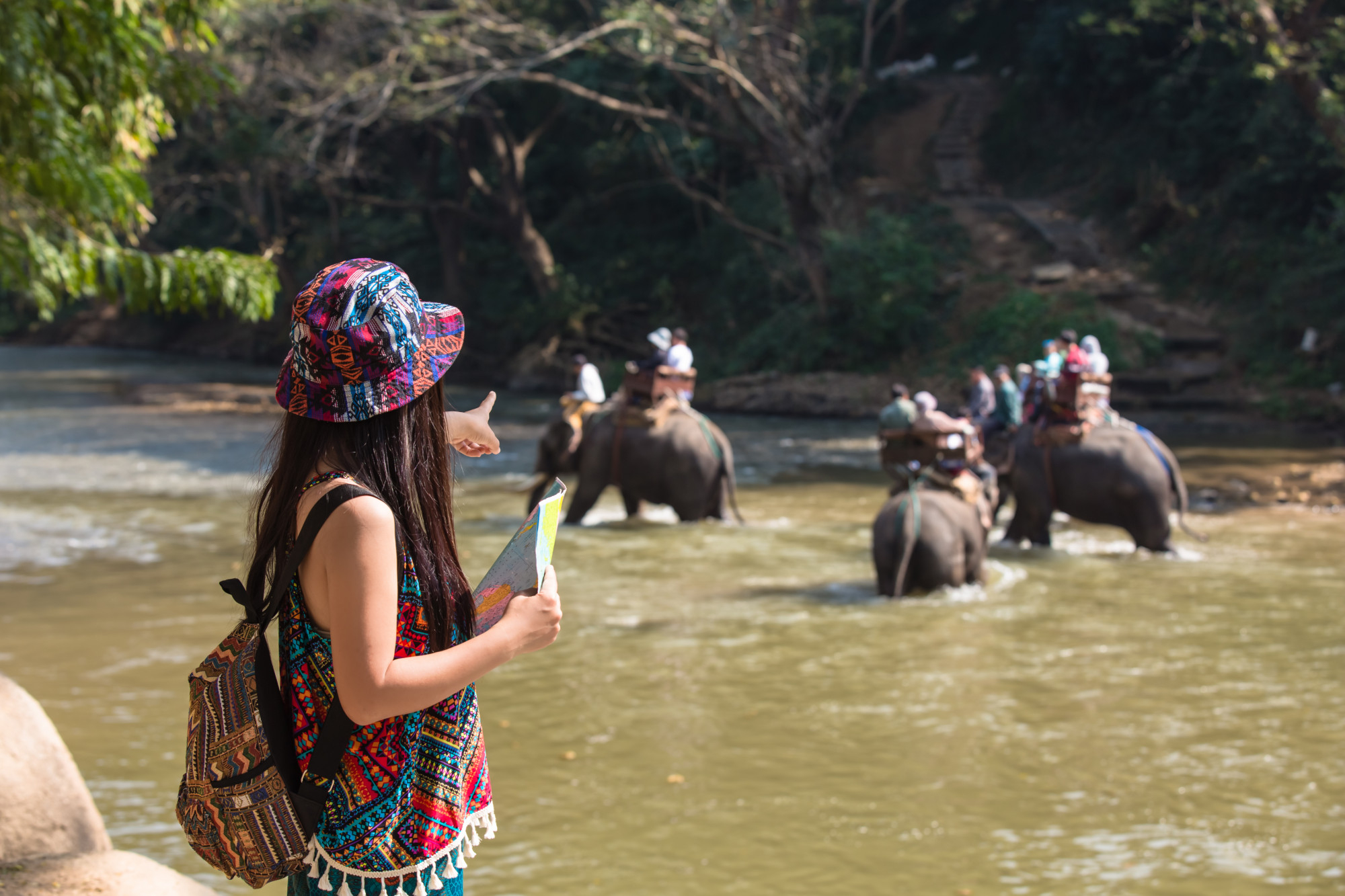 Beyond the Game Drive: Tailored Wilderness Adventures